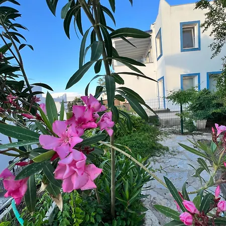 Case de vacanță Casa D'eros - Yalikavak Marina Bodrum